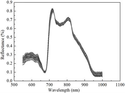 Determination of the Soluble Solids Content in Korla Fragrant Pears Based on Visible and Near-Infrared Spectroscopy Combined With Model Analysis and Variable Selection